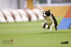 EH8A8218_DxO