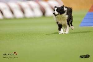 EH8A8220_DxO