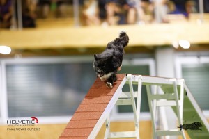 EH8A8244_DxO_DxO