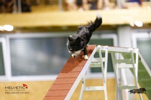 EH8A8245_DxO_DxO