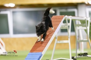 EH8A8248_DxO_DxO