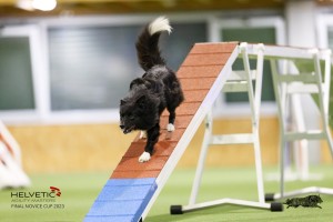 EH8A8249_DxO_DxO