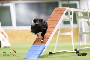 EH8A8250_DxO_DxO