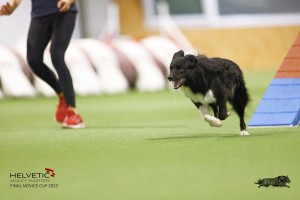 EH8A8256_DxO_DxO
