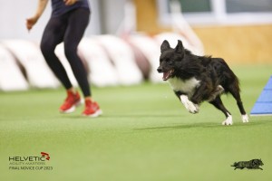 EH8A8257_DxO_DxO