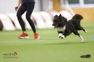 EH8A8258_DxO_DxO