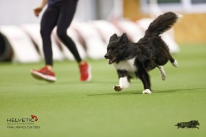 EH8A8259_DxO_DxO