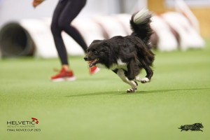 EH8A8261_DxO_DxO