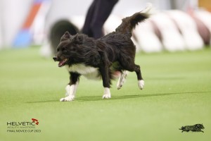 EH8A8264_DxO_DxO