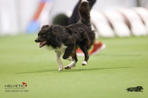 EH8A8265_DxO_DxO