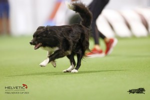EH8A8266_DxO_DxO
