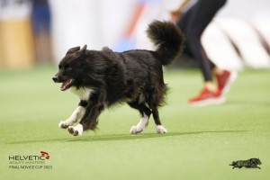 EH8A8267_DxO_DxO
