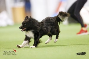 EH8A8268_DxO_DxO