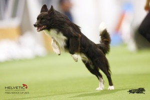 EH8A8282_DxO_DxO