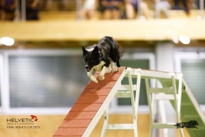 EH8A8301_DxO_DxO
