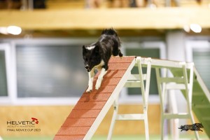 EH8A8302_DxO_DxO