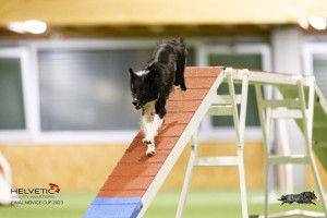 EH8A8303_DxO_DxO