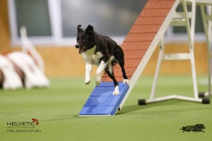 EH8A8307_DxO