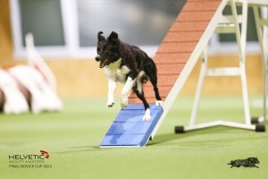 EH8A8307_DxO_DxO