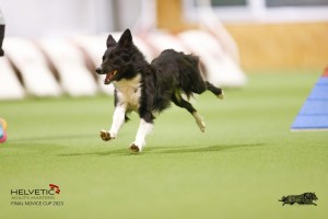 EH8A8314_DxO_DxO