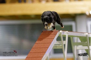 EH8A8344_DxO