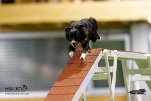 EH8A8345_DxO_DxO
