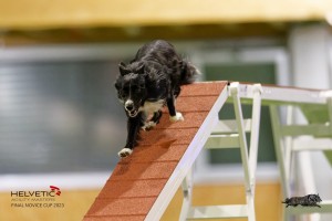 EH8A8347_DxO_DxO