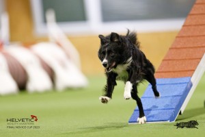 EH8A8354_DxO_DxO
