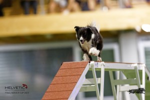 EH8A8397_DxO_DxO