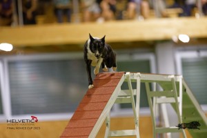 EH8A8452_DxO