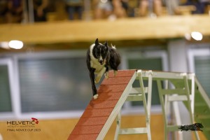 EH8A8453_DxO