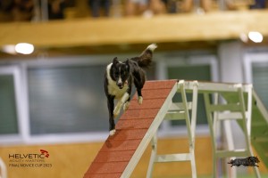 EH8A8454_DxO