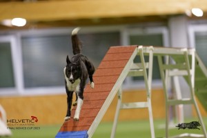 EH8A8456_DxO