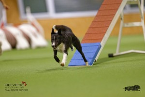 EH8A8460_DxO