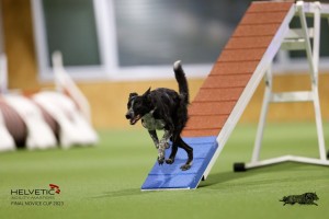 EH8A8559_DxO