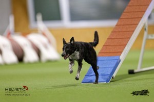 EH8A8560_DxO
