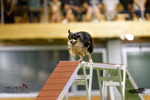 EH8A8596_DxO-1
