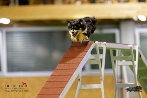 EH8A8598_DxO
