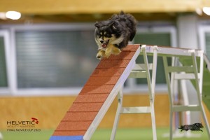 EH8A8599_DxO