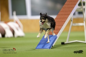 EH8A8605_DxO