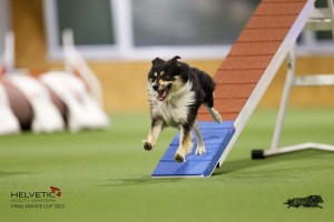 EH8A8606_DxO