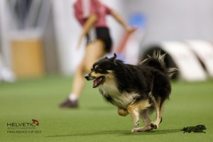 EH8A8620_DxO