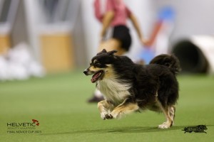 EH8A8621_DxO