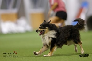EH8A8622_DxO
