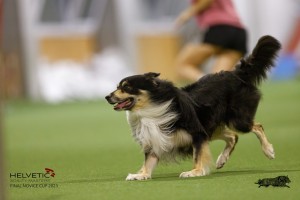 EH8A8623_DxO