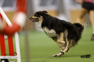 EH8A8625_DxO
