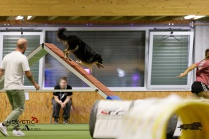 EH8A8642_DxO