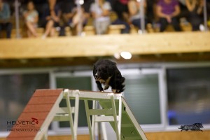 EH8A8652_DxO
