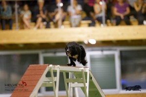 EH8A8653_DxO