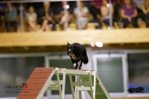 EH8A8654_DxO
